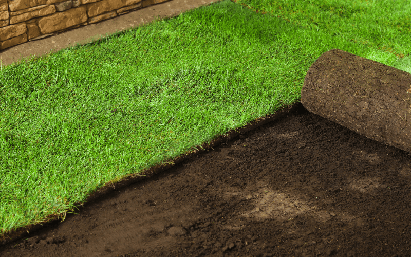 Sod Installation Services in Fox Chapel, PA