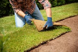 Sod Installation project 3
